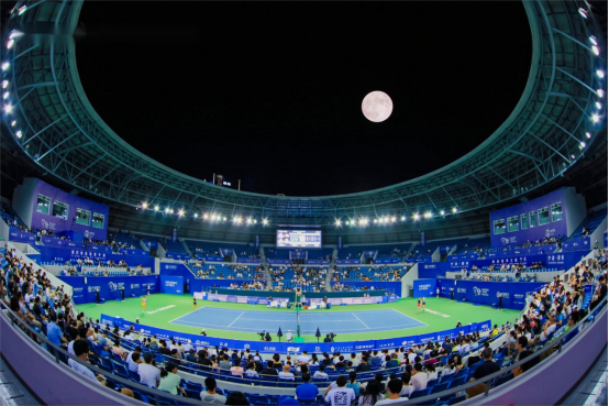 的不懈追求 的不懈追求